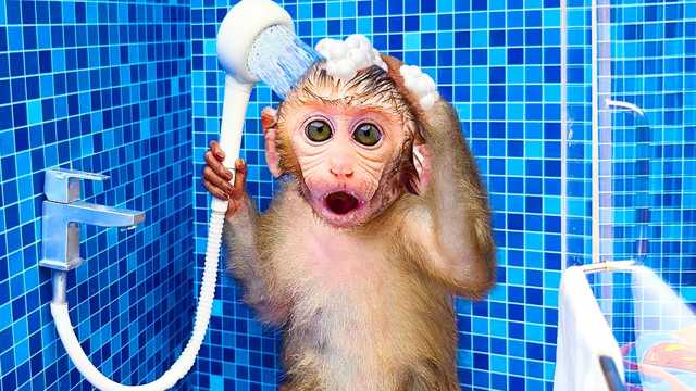 Toy video: Monkey Baby Bon Bon oes to the toilet and plays with Ducklings in the swimming pool img