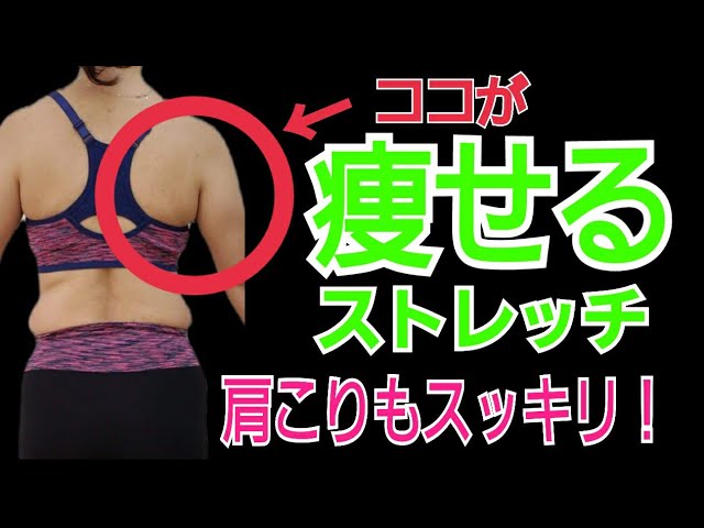 背中痩せ！肩こり解消ストレッチ♪背中デブから背中美人へ！ img